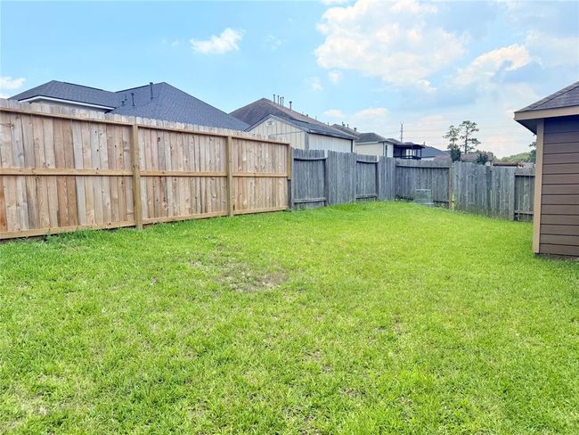 BACKYARD | Image 23