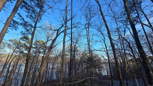 Lot 66 Lower Ridge Cir, Edgemont, AR, 72044 | Card Image