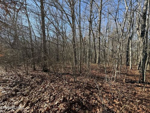 0 Georgee Rd, Jamestown, TN, 38556 | Card Image