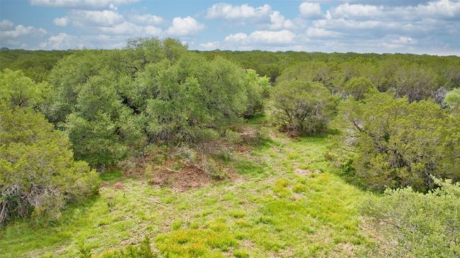 View of woods | Image 5
