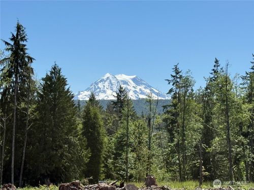 29555 150th Ave E, Graham, WA, 98338 | Card Image