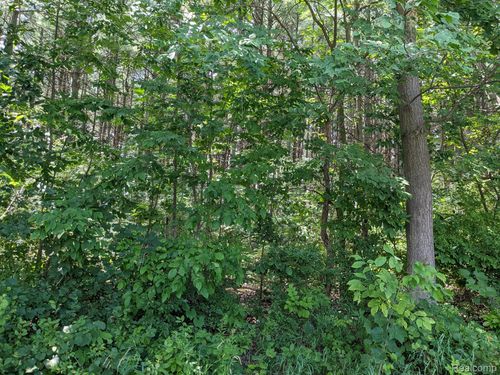 Parcel G Bassett, Elba Township, MI, 48446 | Card Image