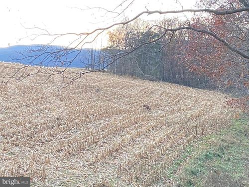 0 Llama Ln, NEEDMORE, PA, 17238 | Card Image