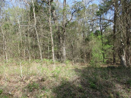 TBD County Road 2958, Alba, TX, 75410 | Card Image