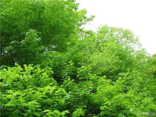 VL Dublin Road, Mansfield, NY, 14779 | Card Image