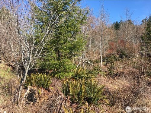 0 Summit Lake Rd, Olympia, WA, 98502 | Card Image