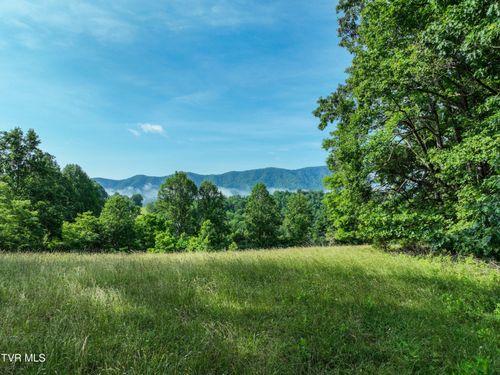 Tbd Snowflake Rd, Gate City, VA, 24251 | Card Image