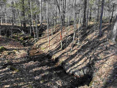 LOT-27-OLD-BLACK-BEAR-WOO - Lot 27 Black Bear Trail, Home with 0 bedrooms, 0 bathrooms and null parking in Davis WV | Image 3