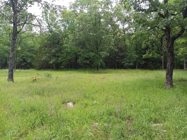 409 Russell Mountain Rd, Home with 0 bedrooms, 0 bathrooms and null parking in Bald Knob AR | Image 10