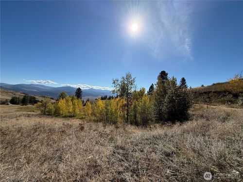 0 Honeysuckle Ln, Curlew, WA, 99118 | Card Image