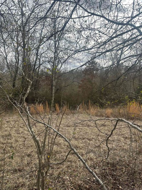 00G Walnut Valley Dr, Hot Springs Village, AR, 71909 | Card Image