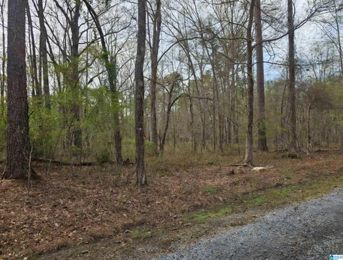40-lot 40 Forestdale Dr, TALLADEGA, AL, 35160-7372 | Card Image