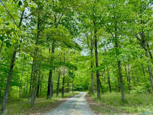 Lot 40 Road 9050, Mentone, AL, 35984-5022 | Card Image