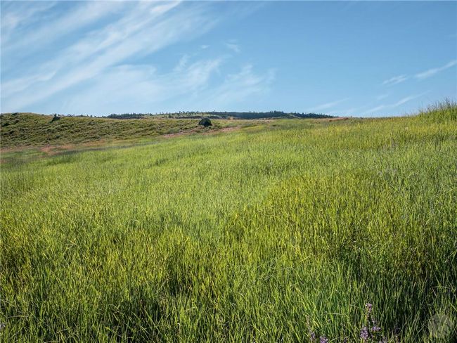 Lot # 40 Spreading Winge Lane, Home with 0 bedrooms, 0 bathrooms and null parking in Nye MT | Image 6