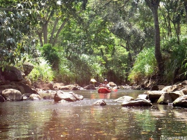 Kayak coming down from property. | Image 14