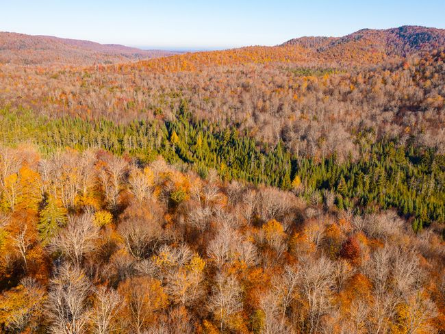 134 Haystack Mountain Road, House other with 4 bedrooms, 1 bathrooms and null parking in Piercefield NY | Image 66