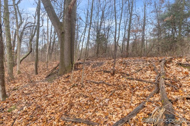 PARCEL-1 - V/L W Snows Lake Road, Home with 0 bedrooms, 0 bathrooms and null parking in Fenwick MI | Image 9