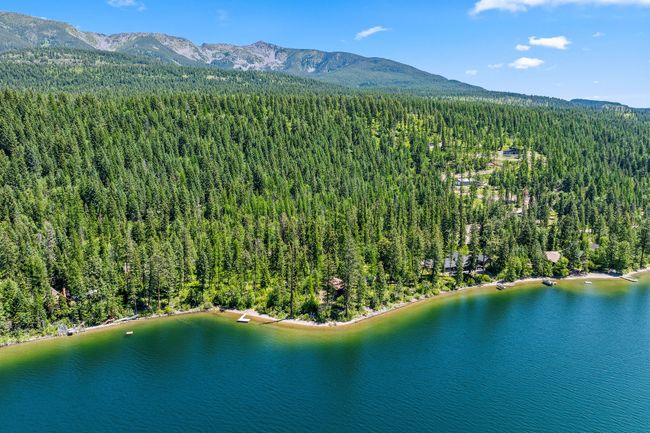 Aerial overview of property's location featuring a forest and a water and mountain view | Image 40