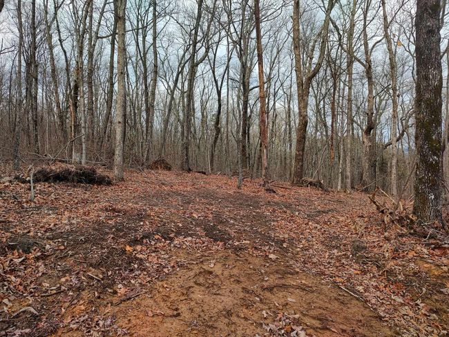 75 Renegage Mountain Parkway, Home with 0 bedrooms, 0 bathrooms and null parking in Crab Orchard TN | Image 12