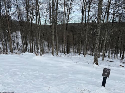 Lot 4 Trailwood Cir, Bruceton Mills, WV, 26525 | Card Image