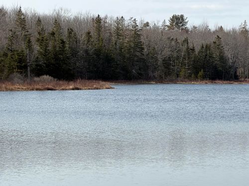 25C Guzzle Road, Gouldsboro, ME, 04607 | Card Image