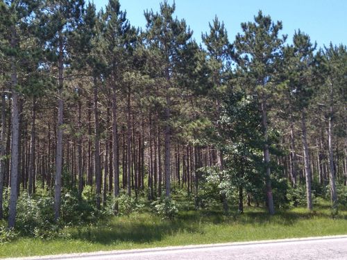 9.17 AC County D Road, Rome, WI, 54457 | Card Image