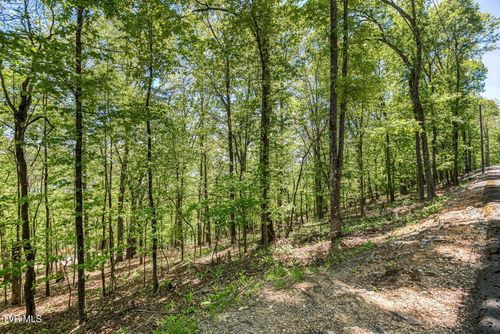 1184 Keetoowah Dr, Mooresburg, TN, 37811-2673 | Card Image