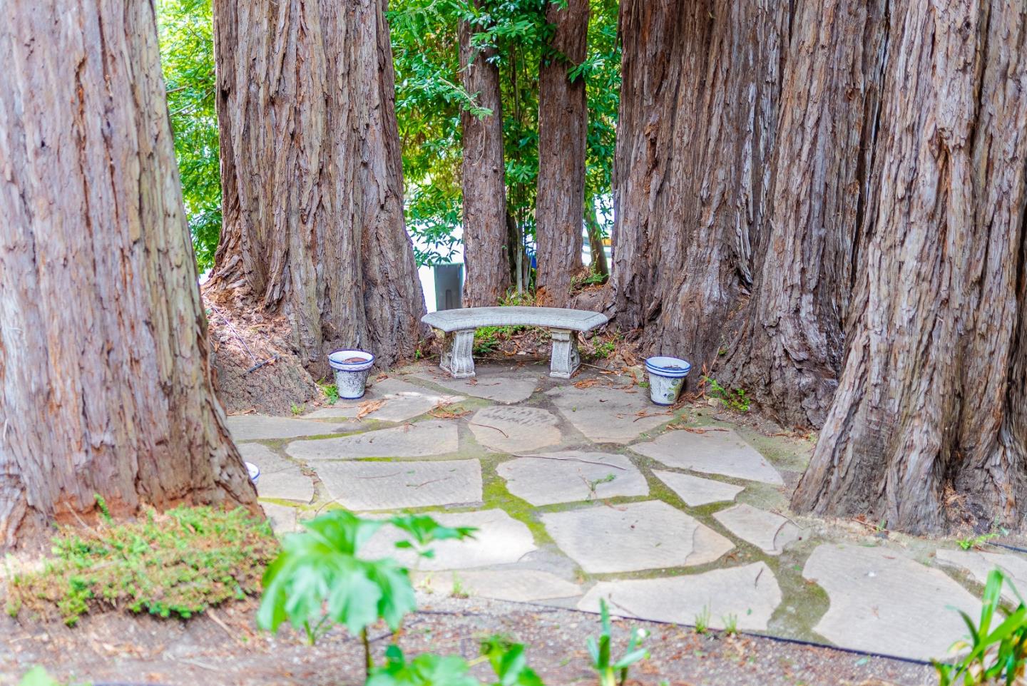 Residential in Scotts Valley
