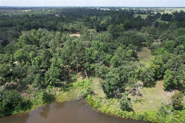 153 Private Road 1311, Home with 0 bedrooms, 0 bathrooms and null parking in Centerville TX | Image 19