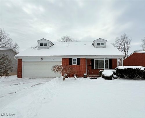 247 Georgia Ave, Elyria, OH, 44035-7129 | Card Image