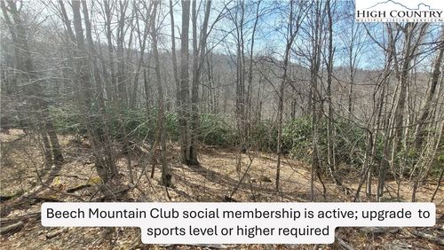 327 Locust Ridge Rd, Beech Mountain, NC, 28604-8035 | Card Image