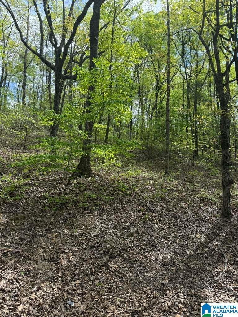 Land in LAKEVIEW