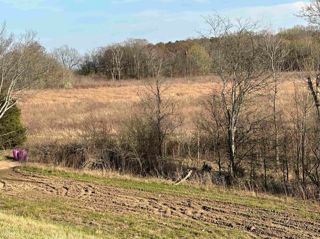 00 Ridgeview Rd, Home with 0 bedrooms, 0 bathrooms and null parking in Bradford AR | Image 18