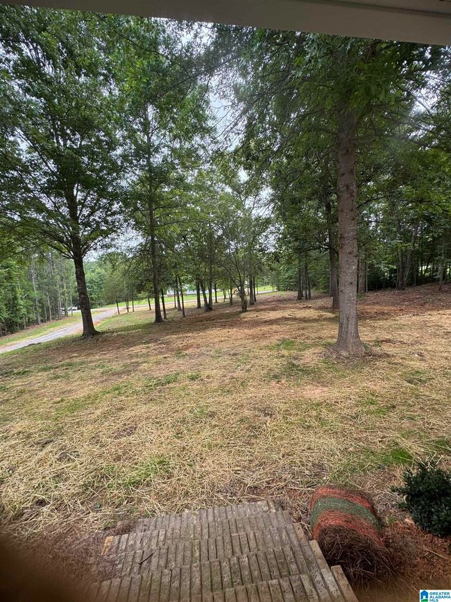 480 Ivey Way, House other with 3 bedrooms, 2 bathrooms and null parking in MUNFORD AL | Image 31