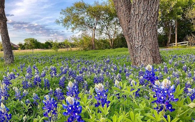 616 Norma Ln, House other with 3 bedrooms, 2 bathrooms and null parking in Keller TX | Image 29
