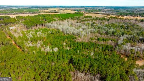 0 RIGGS MILL LA Riggs Mill Lane, Statesboro, GA, 30458 | Card Image