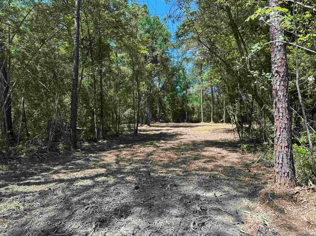 23547 Heritage Acres Ln, Home with 0 bedrooms, 0 bathrooms and null parking in Robert LA | Image 16