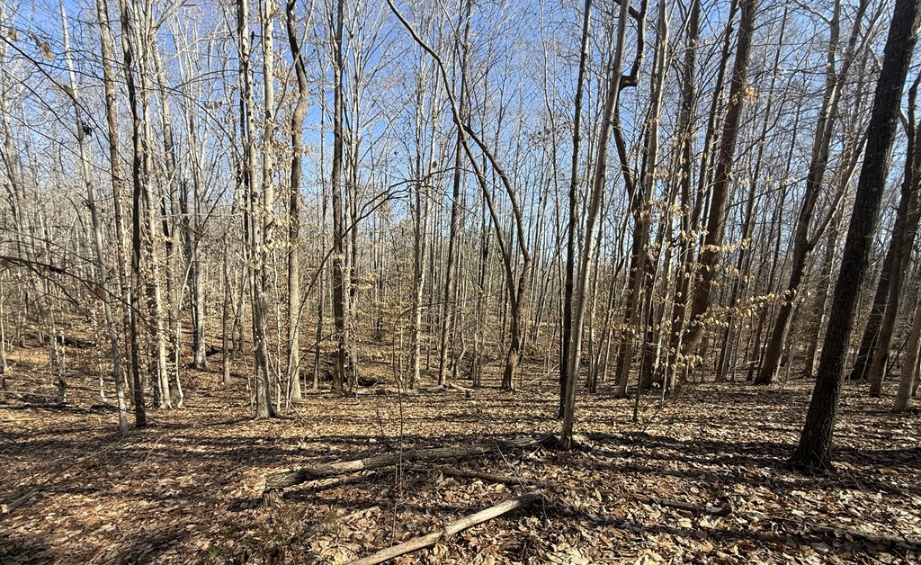 Land in Drakes Branch 4
