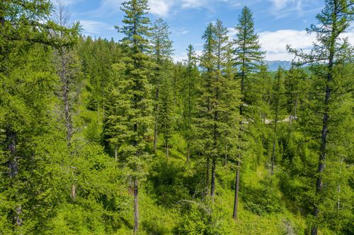 477 Chief Cliff Trl, Bigfork, MT, 59911 | Card Image