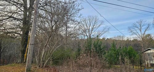 .37+/- Lot Park Rd Sw, Fort Payne, AL, 35967 | Card Image
