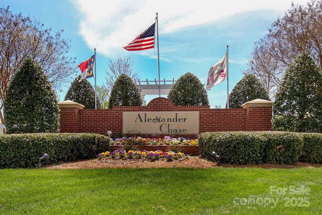 Welcome to Alexander Chase! | Image 6