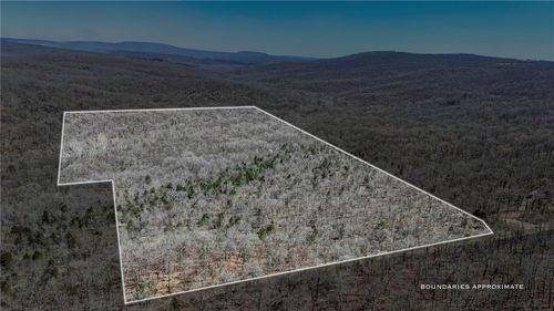 TBD E 980 Road, Sallisaw, OK, 74955 | Card Image