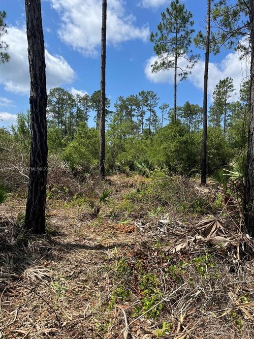 117 Lodge Pole Cir, Georgetown, FL, 32139-2528 | Card Image