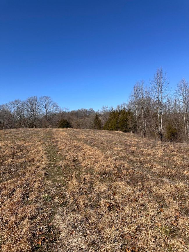 265 - 24265 S Mohawk Rd, Home with 0 bedrooms, 0 bathrooms and null parking in Mohawk TN | Image 35