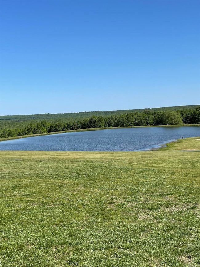 571 Honeysuckle Rd, House other with 3 bedrooms, 3 bathrooms and null parking in Bald Knob AR | Image 14