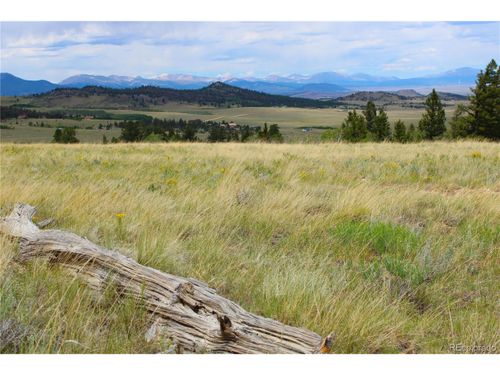 198 Baler Ct, Hartsel, CO, 80449 | Card Image