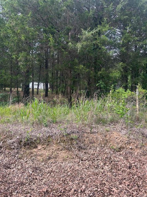1440 Hideout Road Road, Pleasant Plains, AR, 72568 | Card Image