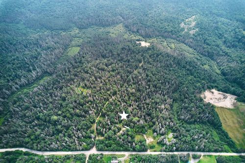 185 Halls Rd E, Sundridge, ON, P0A1Z0 | Card Image