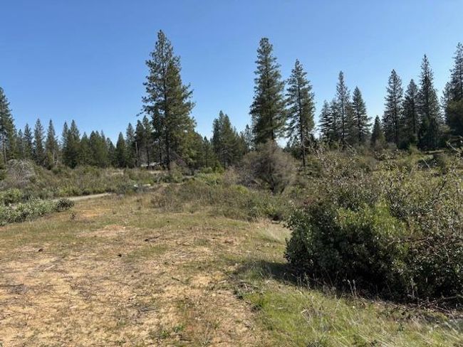19292 Shawnee Trl, Home with 0 bedrooms, 0 bathrooms and null parking in Mokelumne Hill CA | Image 8