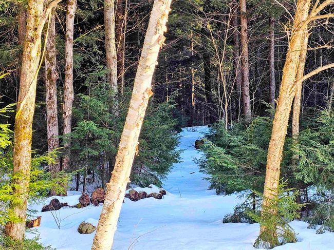 962 Chapel Hill Rd, House other with 3 bedrooms, 2 bathrooms and null parking in Whitingham VT | Image 28